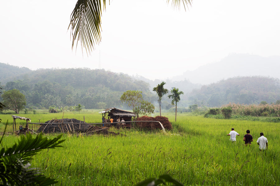 Pit mining in the paddy fields of Ratnapura, at a depth of around 10 feet