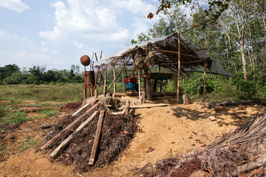A deep pit mine in an abandoned rice field