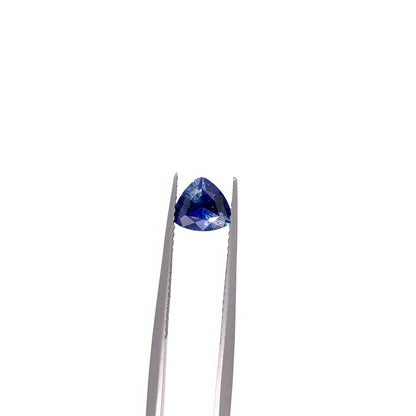 Blue Sapphire — 0.96ct Trillion | 6.50x6.00mm | Madagascar | Heated