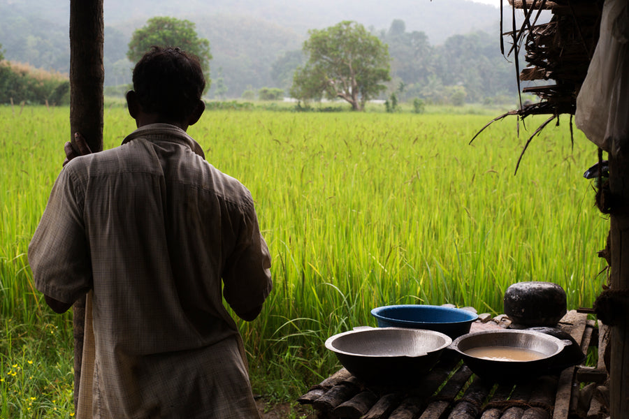 A miner looks out over the paddy fields of Ratnapura.