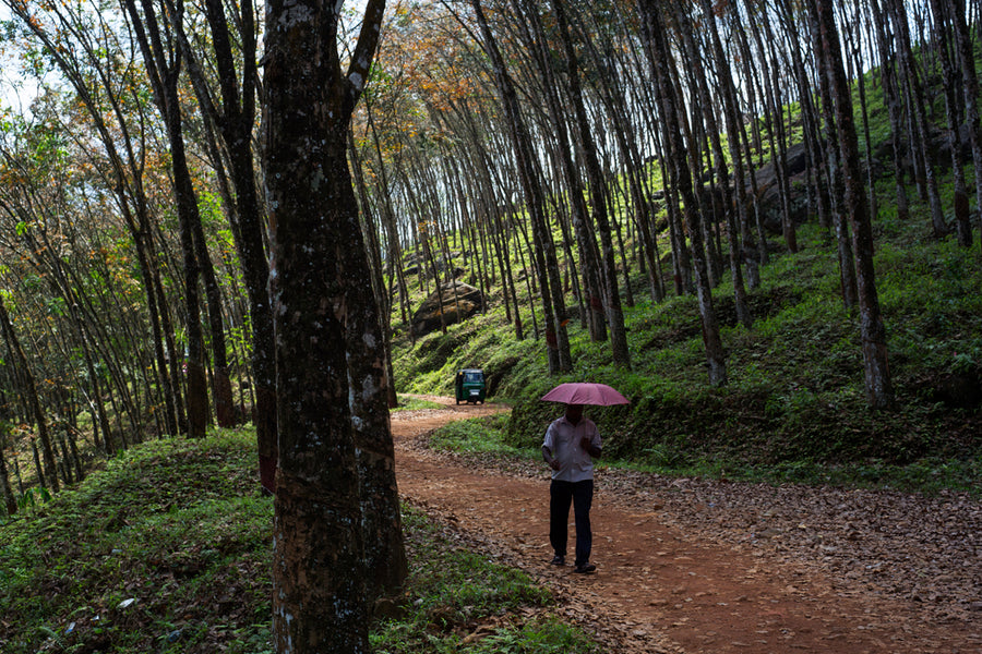 A winding road through the hills, leading to one of the sapphire mines.