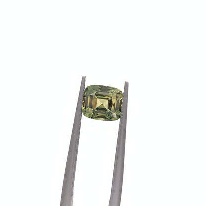 Green Sapphire — 2.00ct Cushion | 7.25x6.20mm | Madagascar | Heated