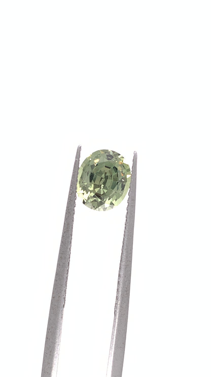 Green Sapphire — 1.3ct Oval | 6.92 x 5.95mm | Madagascar | Heated