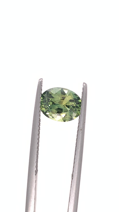 Green Sapphire — 2.33ct Oval | 8.50 x 6.65mm | Madagascar | Heated