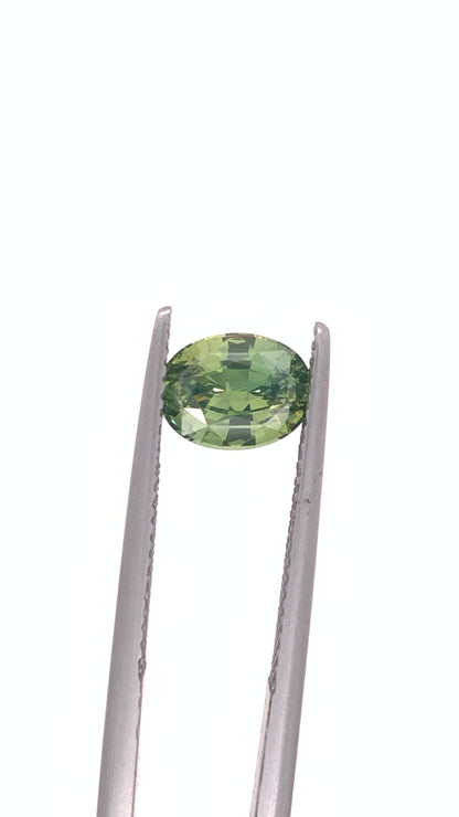 Green Sapphire — 1.81ct Oval | 8.00 x 6.10mm | Madagascar | Heated