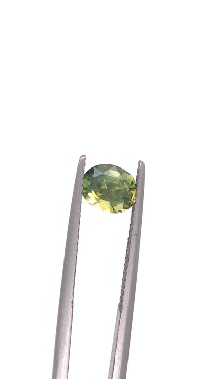 Green Sapphire — 1.52ct Oval | 7.20 x 5.90mm | Madagascar | Heated
