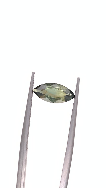Montana Sapphire — 1.24ct Marquise | 5.40 x 11.50mm | USA | Heated