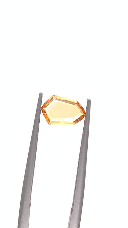 Montana Sapphire — 0.66ct Portrait | 8.40 x 5.50mm | USA | Heated