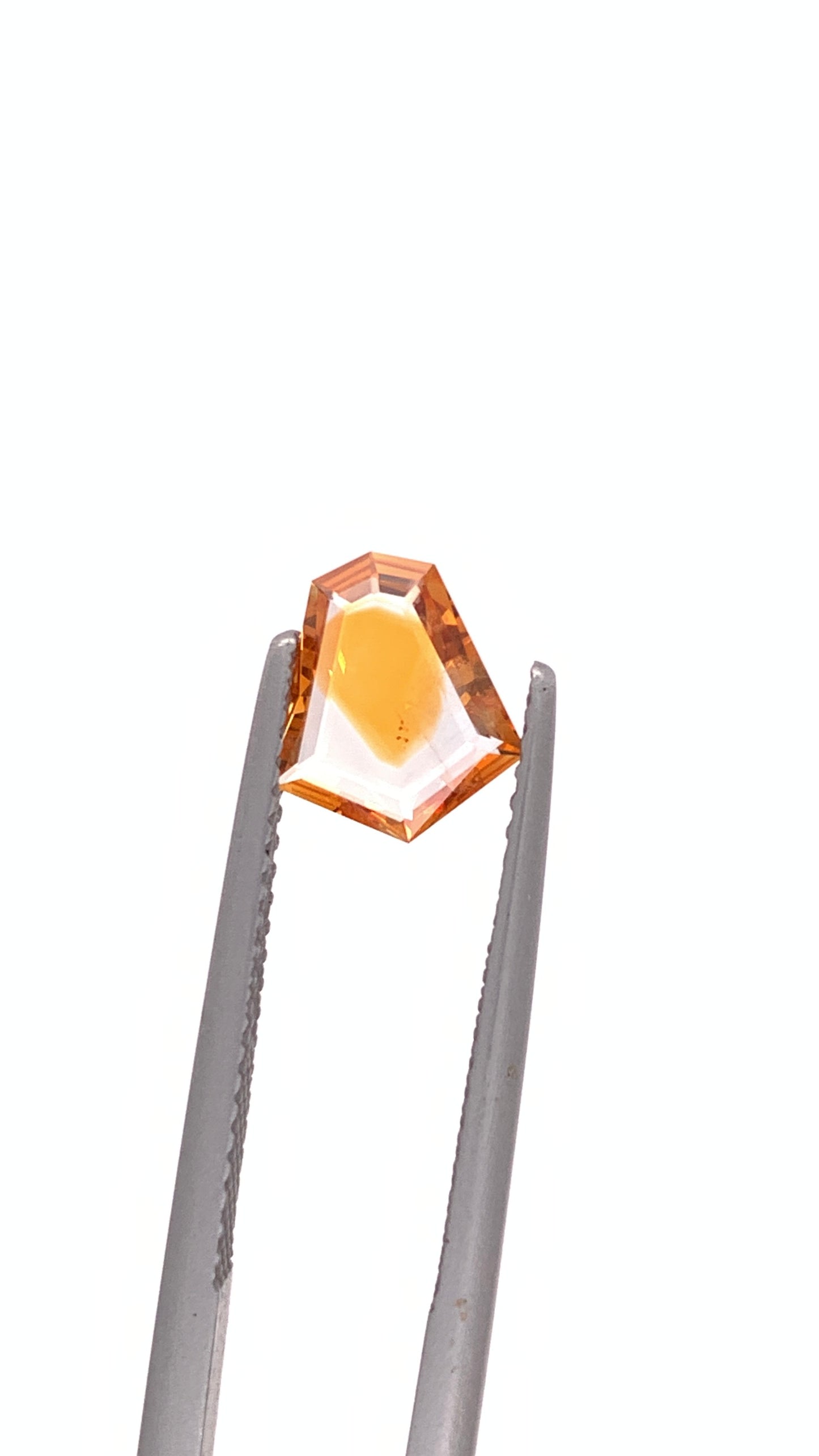 Montana Sapphire — 1.05ct Portrait | 8.65 x 7.50mm | USA | Heated