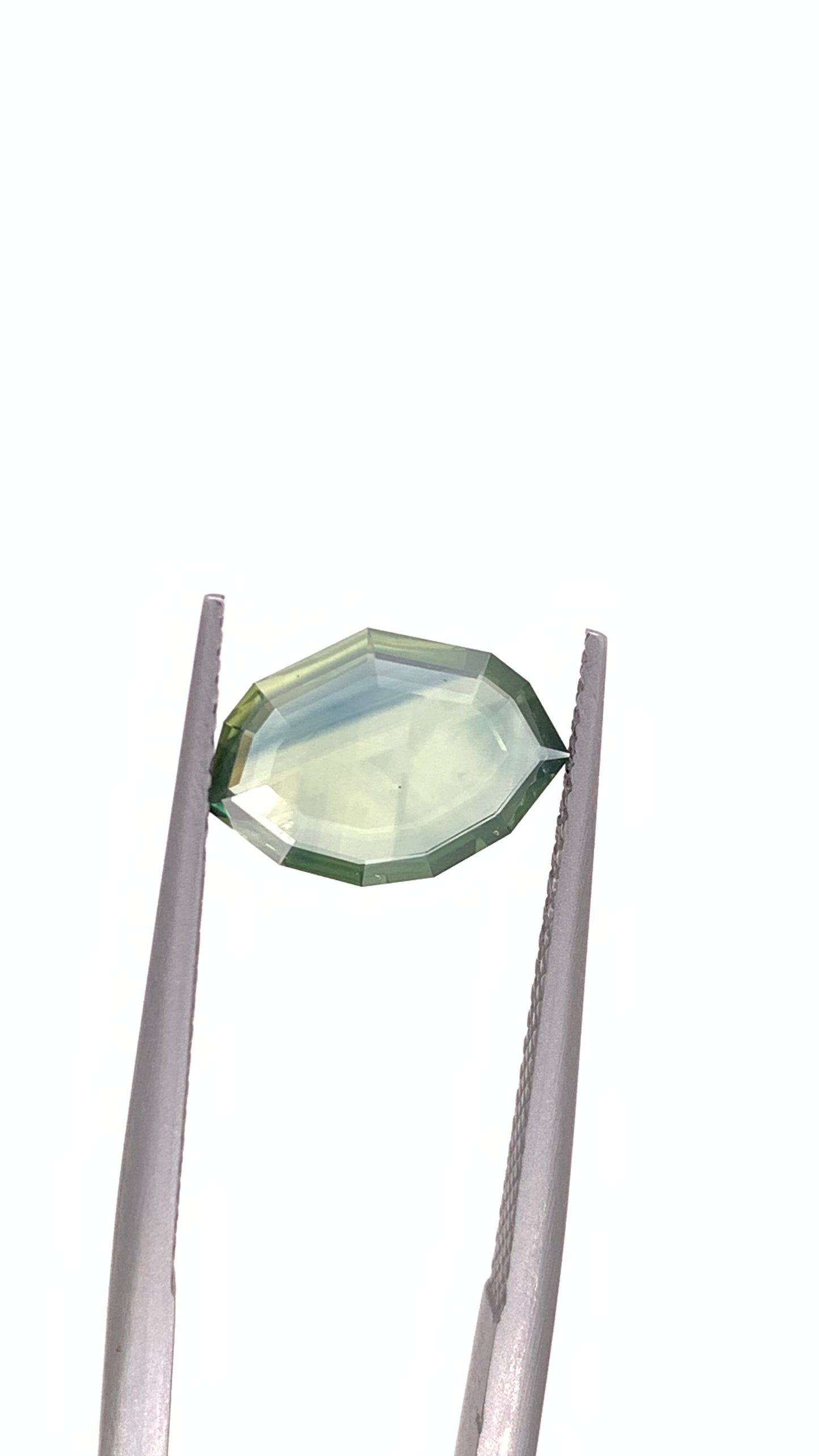 Montana Sapphire — 1.68ct Portrait | 11.15 x 7.70mm | USA | Heated