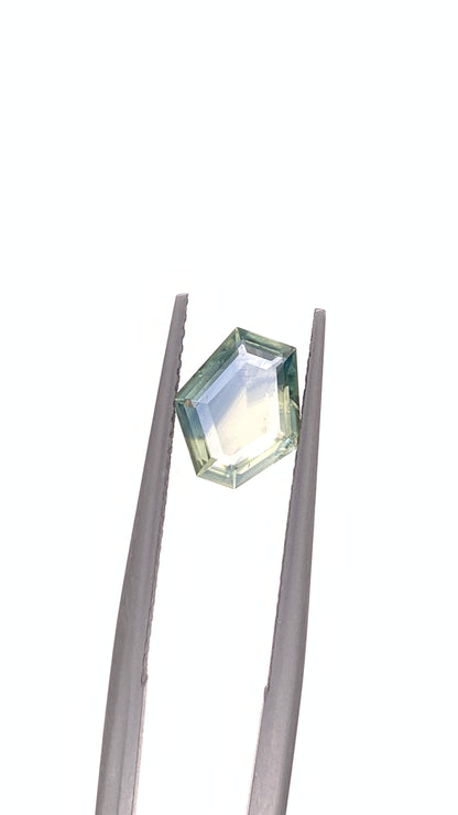 Montana Sapphire — 1.29ct Portrait | 8.40 x 7.50mm | USA | Heated