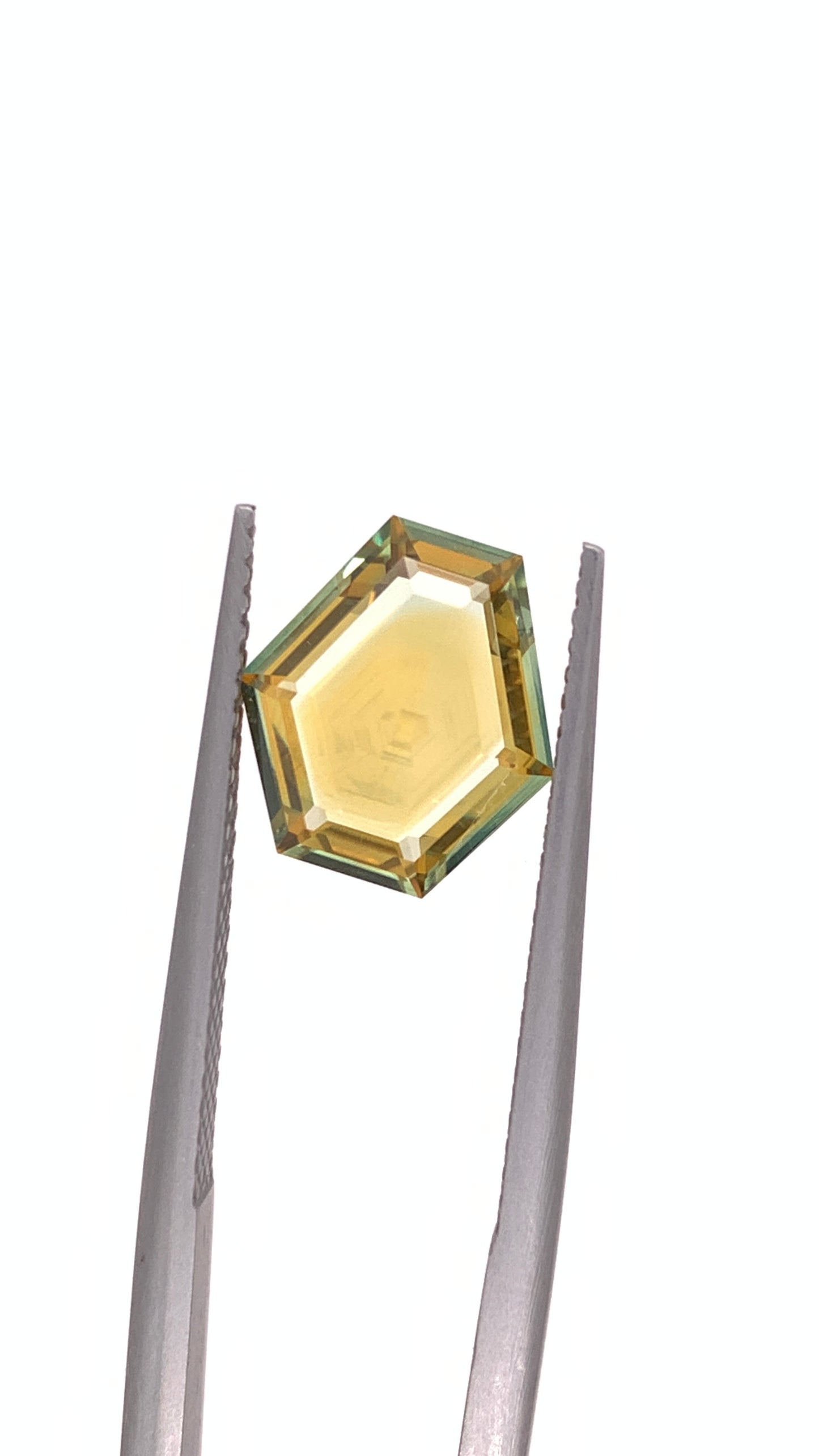 Montana Sapphire — 3.16ct Portrait | 9.80 x 10.55mm | USA | Heated