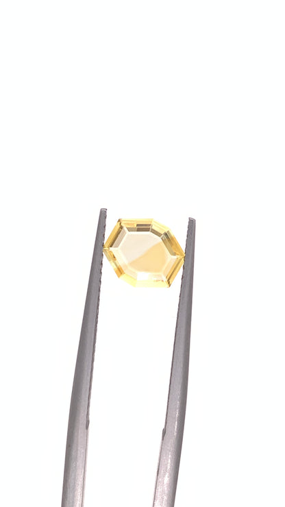 Montana Sapphire — 0.98ct Portrait | 7.30 x 6.50mm | USA | Heated