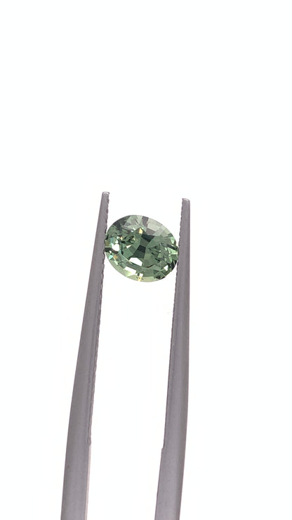Green Sapphire — 1.03ct Oval | 6.40 x 5.40mm | Tanzania | Heated