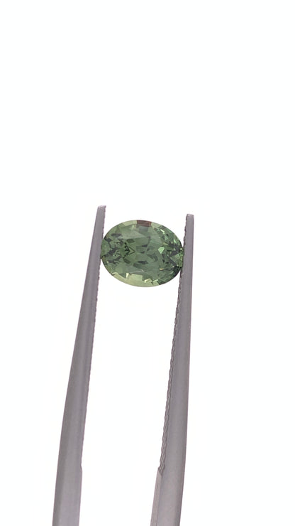 Green Sapphire — 1.19ct Oval | 6.90 x 5.40mm | Tanzania | Heated