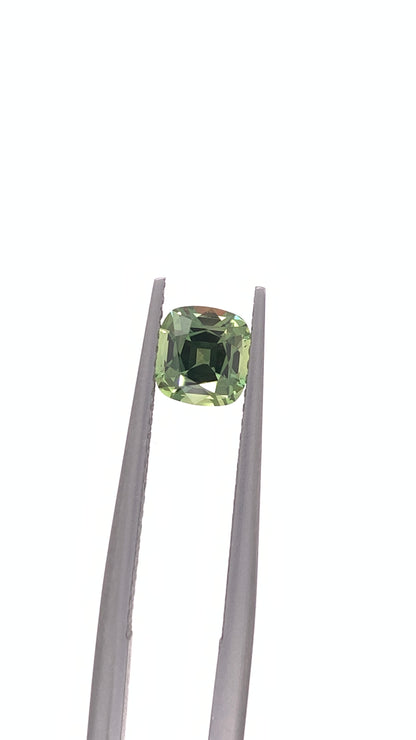 Green Sapphire — 1.11ct Cushion | 5.85 x 5.65mm | Tanzania | Heated