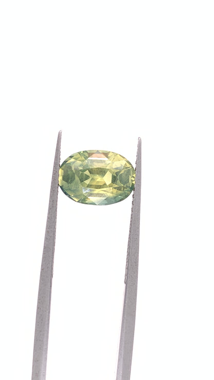 Green Sapphire — 3.44ct Oval | 9.80 x 7.00mm | Madagascar | Heated