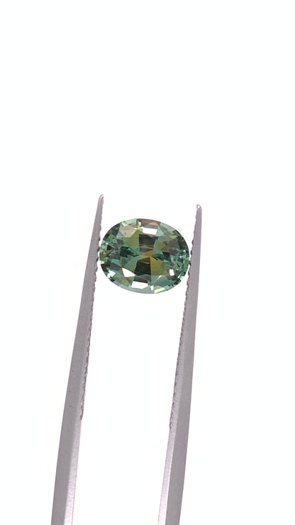 Montana Sapphire — 1.60ct Oval | 7.40 x 6.15mm | USA | Heated