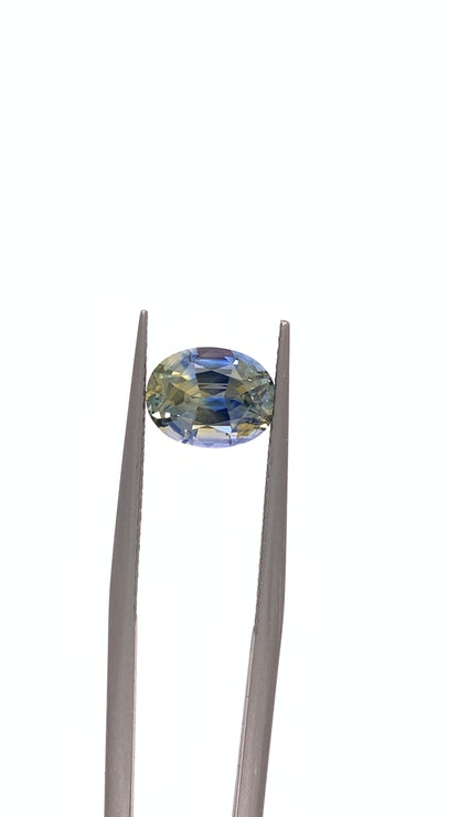 Bicolour Sapphire — 1.95ct Oval | 8.20 x 6.30mm | Sri Lanka | Heated