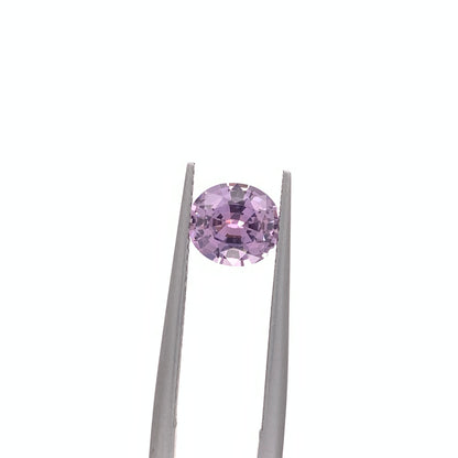 Montana Sapphire — 1.61ct Oval | 7.40x6.65mm | USA | Heated