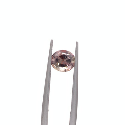 Montana Sapphire — 1.65ct Oval | 7.25x6.45mm | USA | Heated