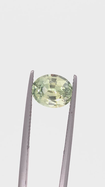 Montana Sapphire — 3.50ct Oval | 10.10x8.20mm | USA | Heated