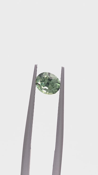 Green Sapphire — 1.03ct Oval | 6.40 x 5.40mm | Tanzania | Heated
