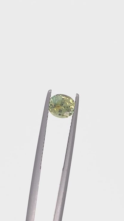 Montana Sapphire — 1.12ct Oval | 6.50 x 5.70mm | USA | Heated