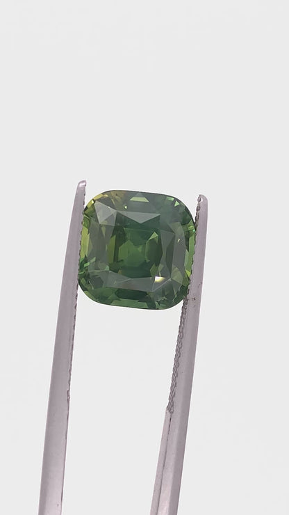 Green Sapphire — 7.59ct Cushion | 10.20x10.20mm | Tanzania | Heated