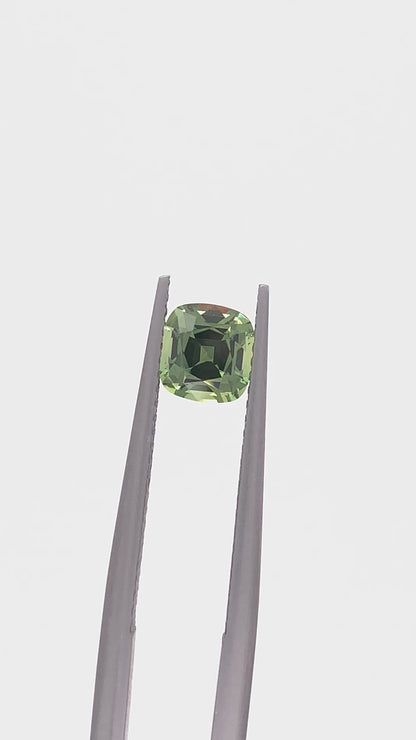 Green Sapphire — 1.11ct Cushion | 5.85 x 5.65mm | Tanzania | Heated