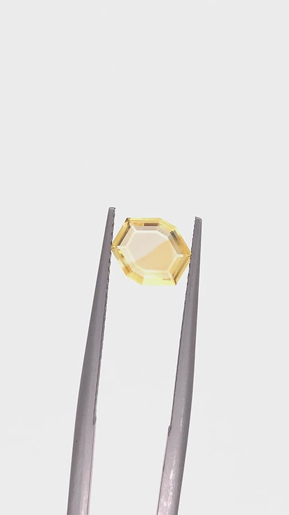 Montana Sapphire — 0.98ct Portrait | 7.30 x 6.50mm | USA | Heated