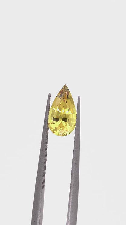 Yellow Sapphire — 1.52ct Pear | 10.00 x 5.50mm | Australia | Unheated