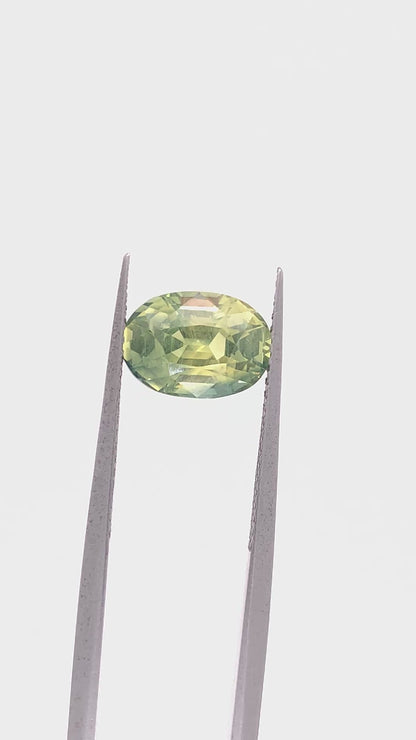 Green Sapphire — 3.44ct Oval | 9.80 x 7.00mm | Madagascar | Heated