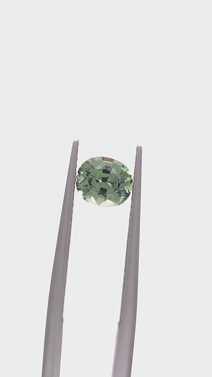 Green Sapphire — 1.33ct Oval | 6.70 x 5.80mm | Tanzania | Heated