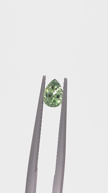 Green Sapphire — 0.64ct Pear | 6.20 x 4.50mm | Tanzania | Heated
