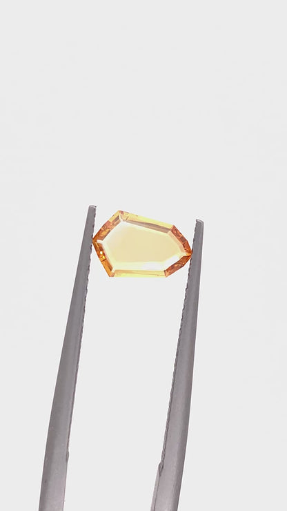Montana Sapphire — 0.66ct Portrait | 8.40 x 5.50mm | USA | Heated