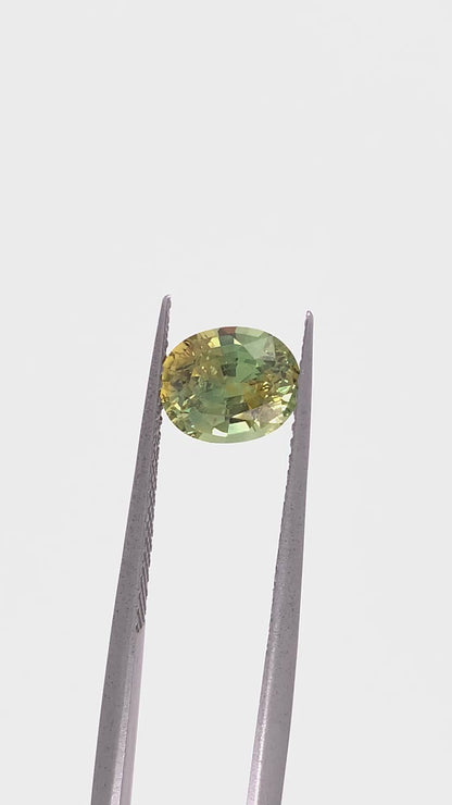 Montana Sapphire — 1.77ct Oval | 7.70 x 6.30mm | USA | Heated