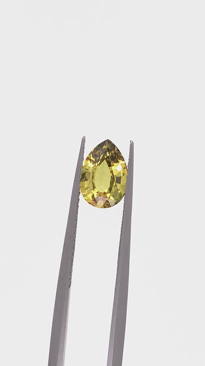 Yellow Sapphire — 1.23ct Pear | 8.50 x 5.95mm | Australia | Unheated