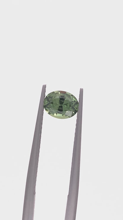 Green Sapphire — 1.19ct Oval | 6.90 x 5.40mm | Tanzania | Heated