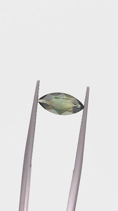 Montana Sapphire — 1.24ct Marquise | 5.40 x 11.50mm | USA | Heated