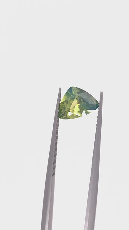 Green Sapphire — 1.44ct Trillion | 8.80x6.50mm | Madagascar | Unheated