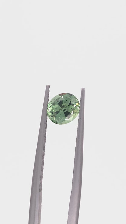 Green Sapphire — 1.33ct Oval | 6.80 x 5.90mm | Tanzania | Heated