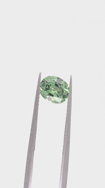 Green Sapphire — 1.29ct Oval | 7.10 x 5.95mm | Tanzania | Heated