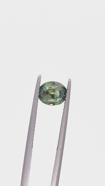 Green Sapphire — 2.04ct Oval | 7.75 x 6.40mm | Madagascar | Heated