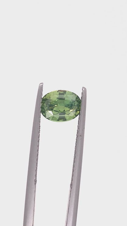 Green Sapphire — 1.81ct Oval | 8.00 x 6.10mm | Madagascar | Heated