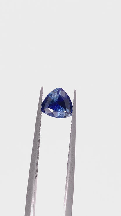 Blue Sapphire — 0.96ct Trillion | 6.50x6.00mm | Madagascar | Heated