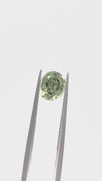 Green Sapphire — 1.3ct Oval | 6.92 x 5.95mm | Madagascar | Heated