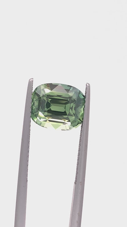 Green Sapphire — 6.00ct Cushion | 10.50 x 8.75mm | Madagascar | Heated