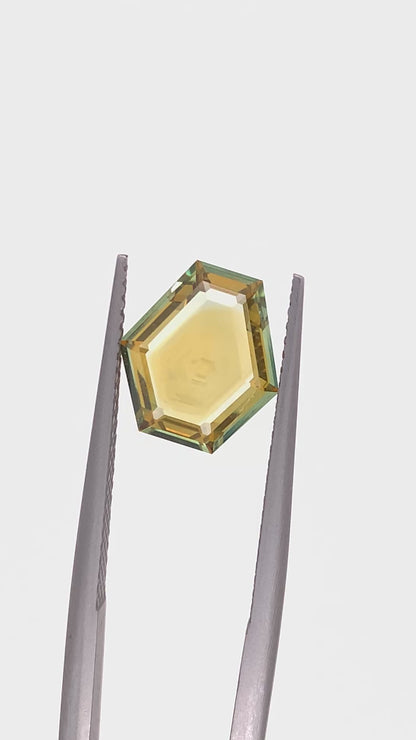Montana Sapphire — 3.16ct Portrait | 9.80 x 10.55mm | USA | Heated