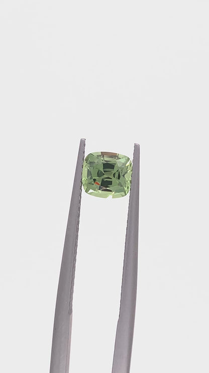 Green Sapphire — 1.16ct Cushion | 6.10 x 5.55mm | Tanzania | Heated